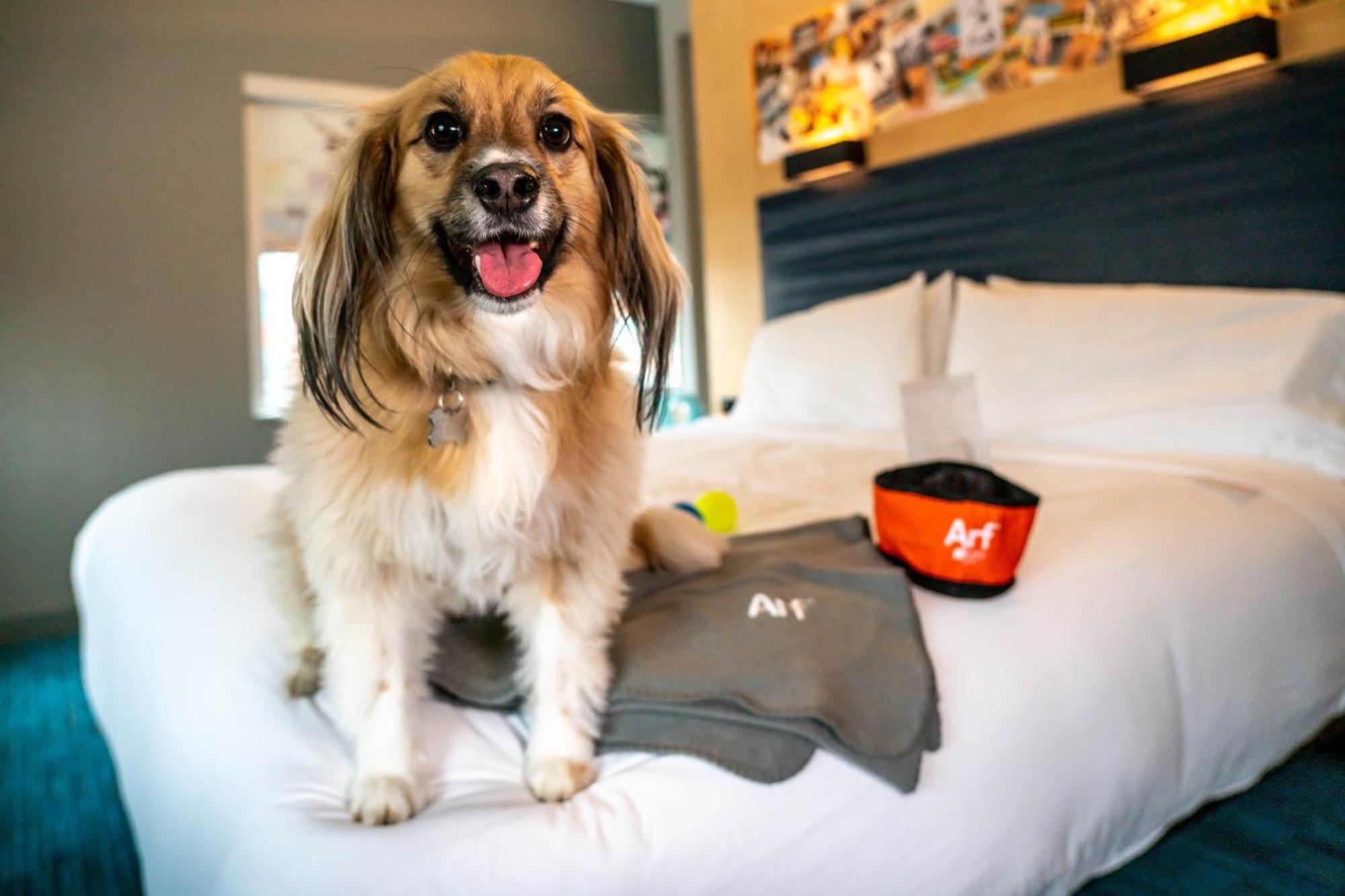 Aloft Louisville Downtown Dış mekan fotoğraf